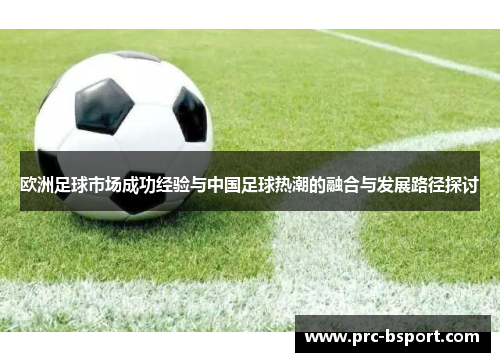 欧洲足球市场成功经验与中国足球热潮的融合与发展路径探讨