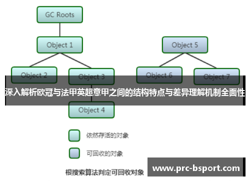 深入解析欧冠与法甲英超意甲之间的结构特点与差异理解机制全面性