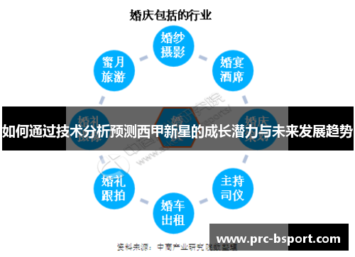 如何通过技术分析预测西甲新星的成长潜力与未来发展趋势