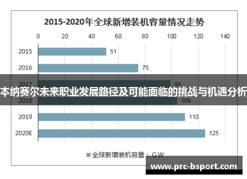 本纳赛尔未来职业发展路径及可能面临的挑战与机遇分析