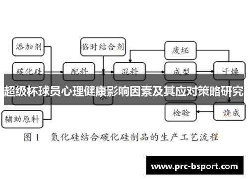 超级杯球员心理健康影响因素及其应对策略研究